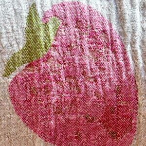 Strawberry Travel Blanket Towel Wrap Reversible Organic Cotton Farm to Textile